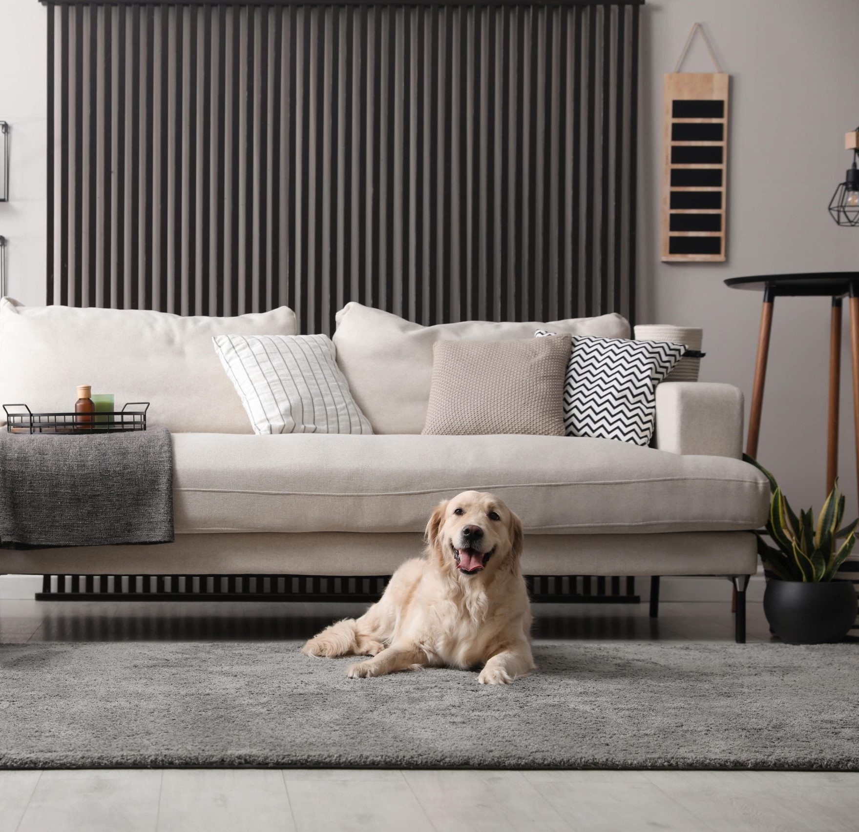 shutterstock_2008340219-min